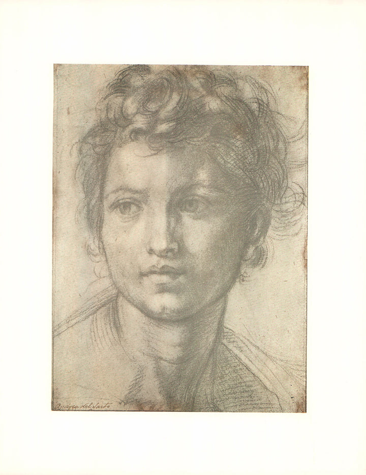 Head of Child by Andrea del Sarto - 12 X 15 Inches (Offset Lithograph with Matte Fine Art Print)