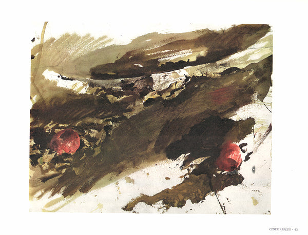 Cider Apples by Andrew Wyeth - 13 X 17 Inches (Art Print)