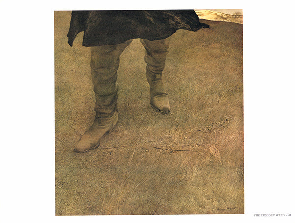 The Trodden Weed by Andrew Wyeth - 13 X 17 Inches (Art Print)