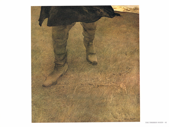 The Trodden Weed by Andrew Wyeth - 13 X 17 Inches (Art Print)