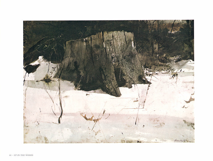 Up in the Woods by Andrew Wyeth - 13 X 17 Inches (Art Print)
