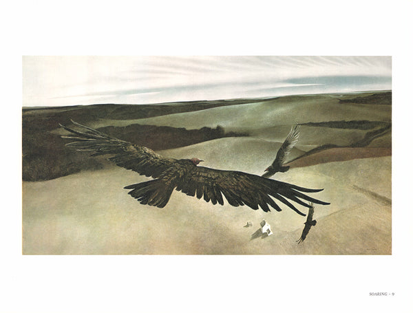 Soaring by Andrew Wyeth - 13 X 17 Inches (Art Print)