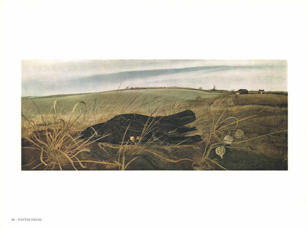 Winter Fields by Andrew Wyeth - 13 X 17 Inches (Art Print)