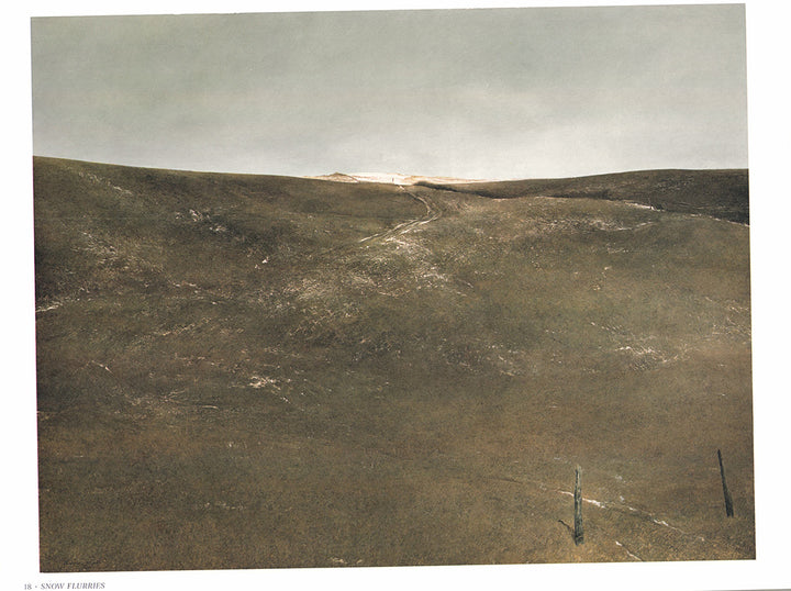 Snow Flurries by Andrew Wyeth - 13 X 17 Inches (Art Print)