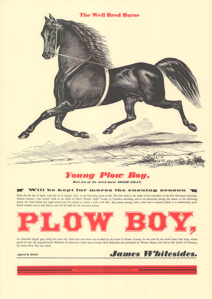 Young Plow Boy, The Well Bred Horse - 15 X 21 Inches (Silkscreen)