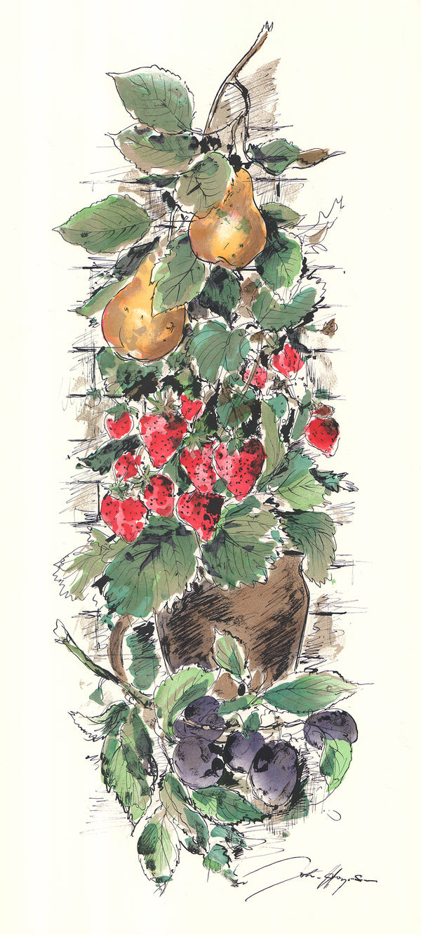 Strawberries by John Haymson - 16 X 35 Inches (Hand Colored Watercolor)