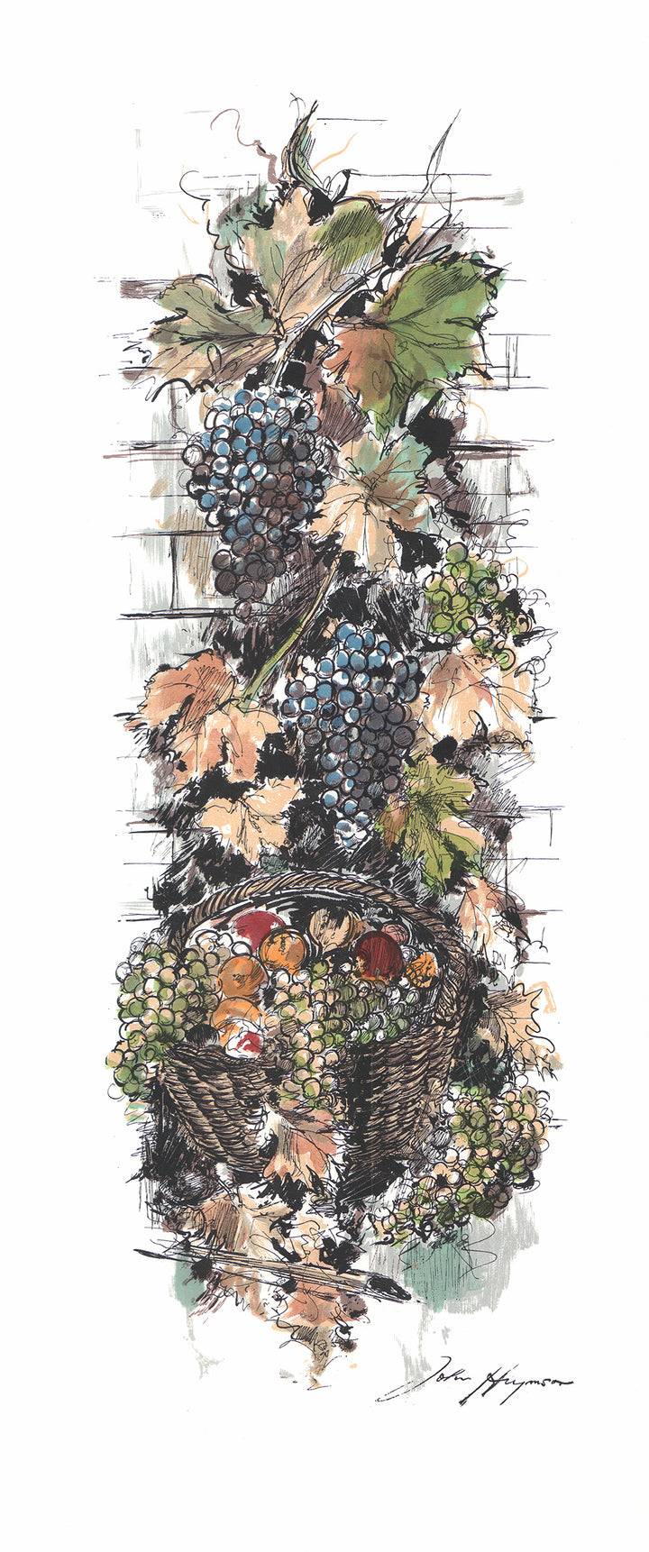 Grapes by John Haymson - 16 X 35 Inches (Hand Colored Watercolor)