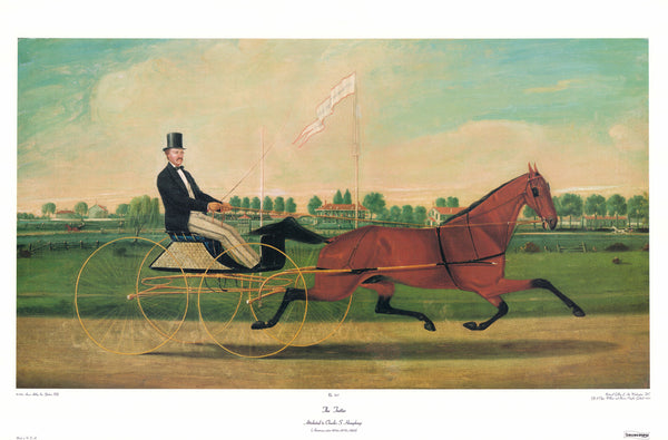 The Trotter by Charles S. Humphreys - 23 X 35 Inches (Art Print)