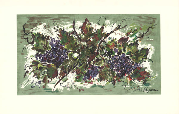Grape Cluster by John Haymson - 26 X 40 Inches (Offset Lithograph Hand Colored)