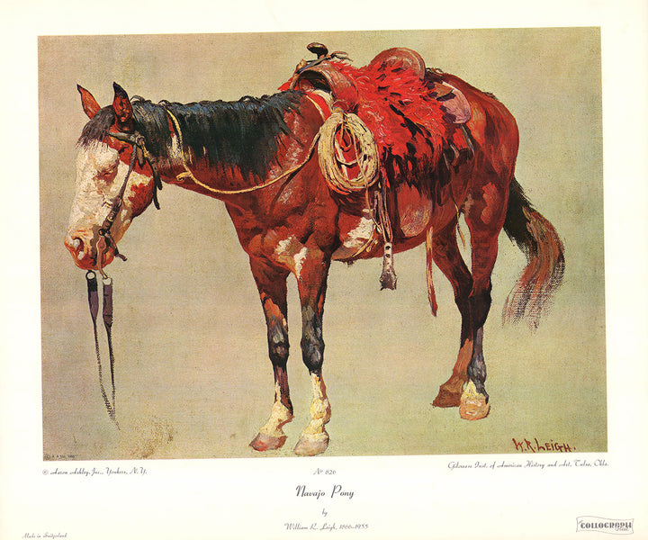 Navajo Pony by William R. Leigh - 16 X 19 Inches (Art Print)