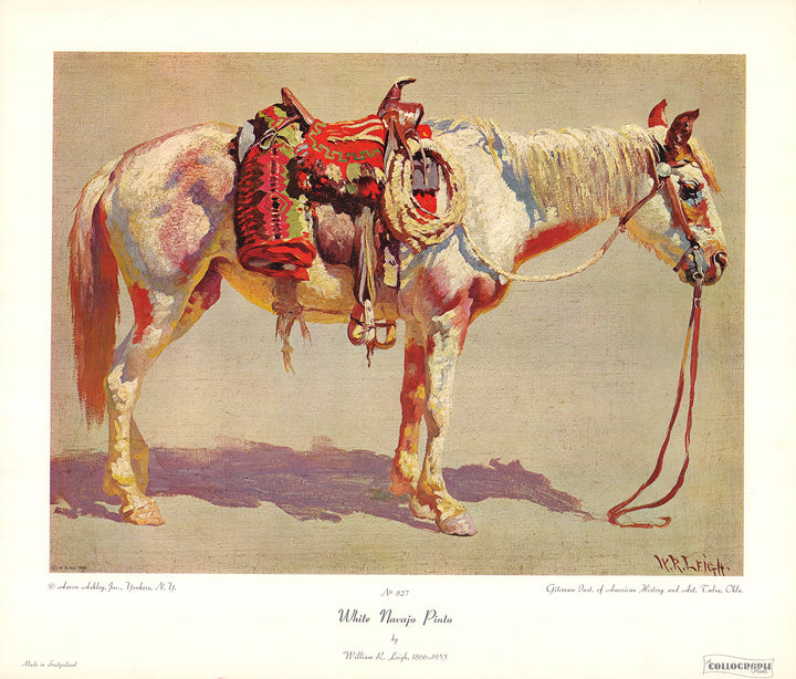 White Navajo Pinto by William R. Leigh - 16 X 19 Inches (Art Print)