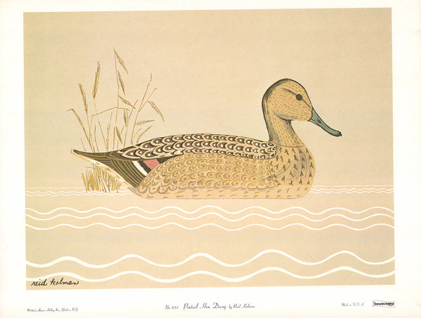 Pintail Hen Decoy by Reid Kolman - 14 X 19 Inches (Art Print)