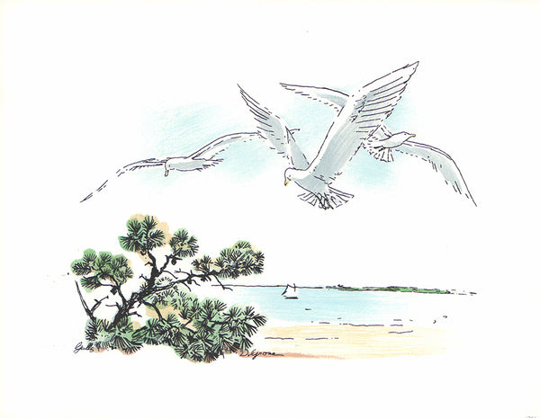 Sea Gulls by David Grose - 10 X 13 Inches (Offset Litho Hand Colored Art Print)