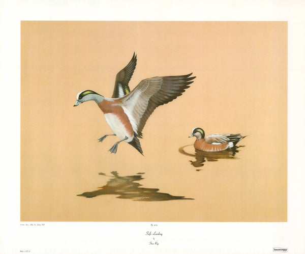 Safe Landing by Stan Rup - 23 X 28 Inches (Art Print)
