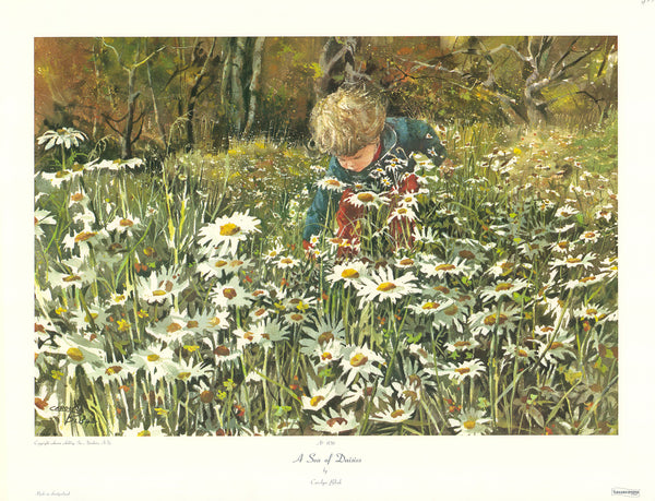 Sea of Daisies by Carolyn Blish - 18 X 24 Inches (Art Print)