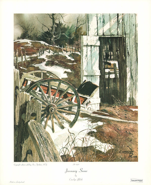 Junuary Snow by Carolyn Blish - 13 X 15 Inches (Art Print)