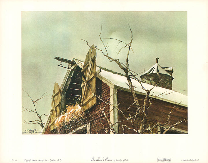 Swallows Roost by Carolyn Blish - 12 X 14 Inches (Art Print)