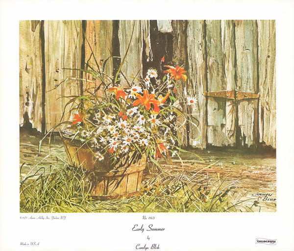 Early Summer by Carolyn Blish - 12 X 14 Inches (Art Print)