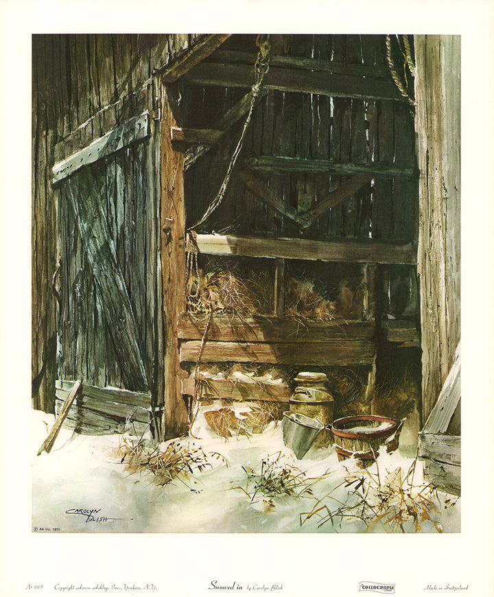 Snowed by Carolyn Blish - 14 X 17 Inches (Art Print)