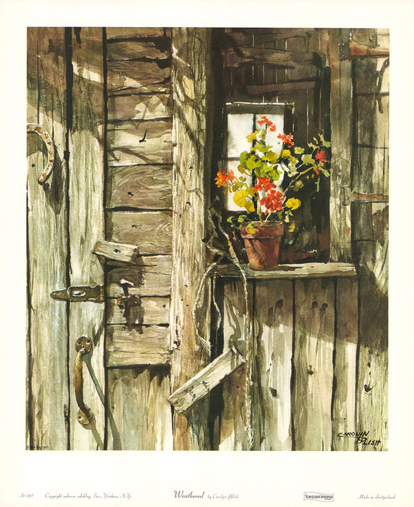 Weathered by Carolyn Blish - 14 X 17 Inches (Art Print)