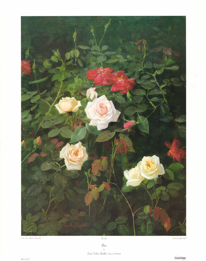 Roses by Goorge Cochfan Lambdin - 23 X 29 Inches (Art Print)
