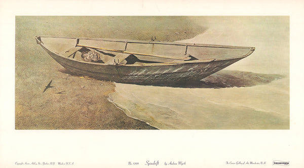 Spindrift by Andrew Wyeth - 10 X 18 Inches (Art Print)