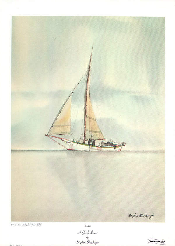 A Gentle Breeze by Stephen Bleinberger - 14 X 19 Inches (Art Print)