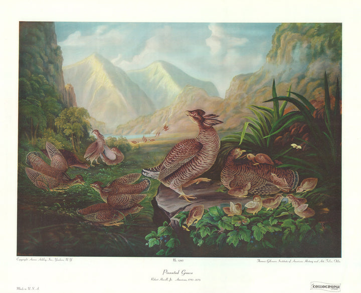 Pinnated Grouse by Robert Havell - 23 X 28 Inches (Art Print)