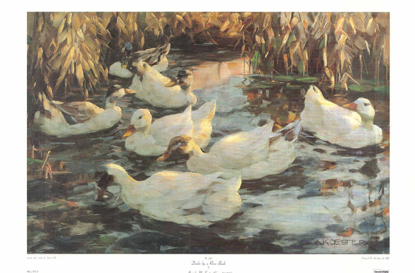 Ducks a River Bank by Alexander Koester - 23 X 35 Inches (Art Print)