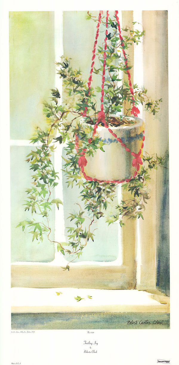 Trailing Ivy by Roberta Clark - 18 X 35 Inches (Art Print)