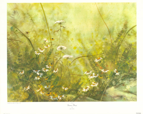 Summer Things by Jane Carlson - 25 X 29 Inches (Art Print)