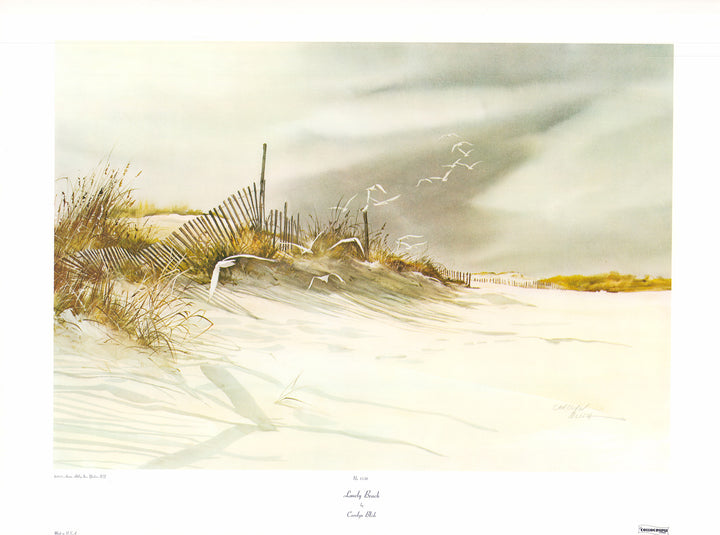 Lonely Beach by Carolyn Blish - 23 X 31 Inches (Art Print)