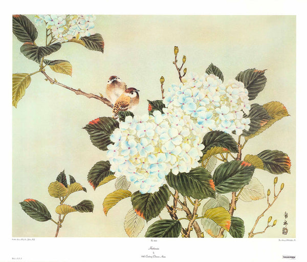 Hortensia by Chinese 19th Century - 26 X 31 Inches (Art Print)