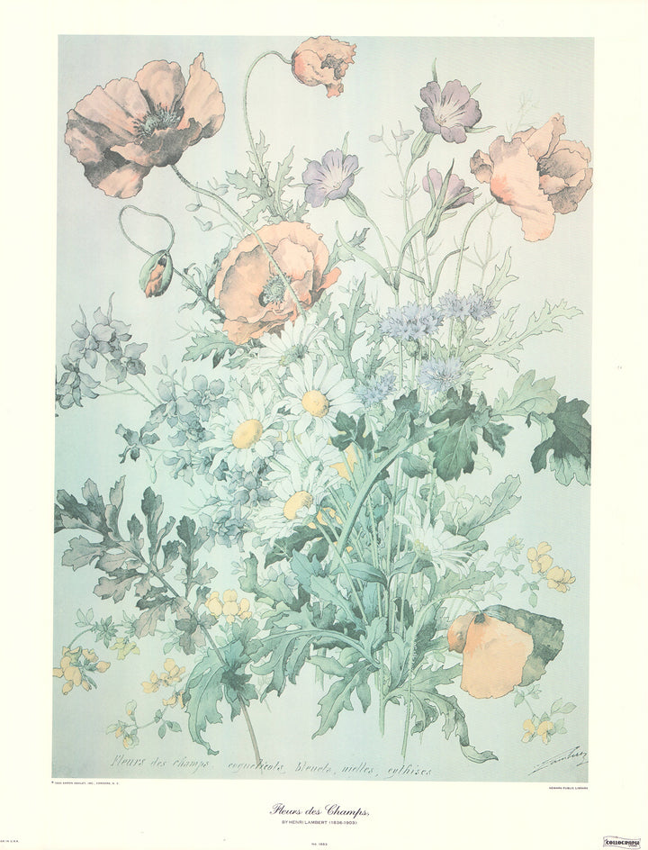 Fleurs des Champs by Henri Lambert - 20 X 26 Inches (Art Print)