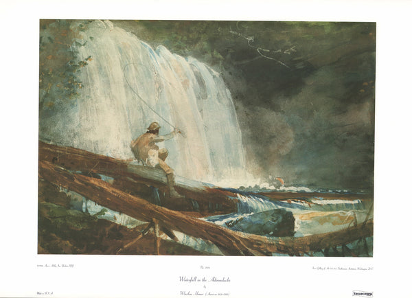 Waterfall in the Adirondacks by Winslow Homer - 19 X 27 Inches (Art Print)