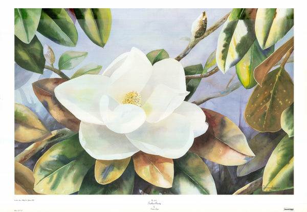 Southern Beauty by Carmen Lagos - 28 X 40 Inches (Art Print)