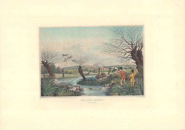 Wild Duck Shooting by Robert Havell - 16 X 22 Inches (Hand Colored Watercolor)