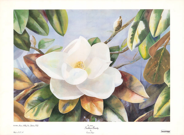 Southern Beauty by Carmen Lagos - 14 X 19 Inches (Art Print)