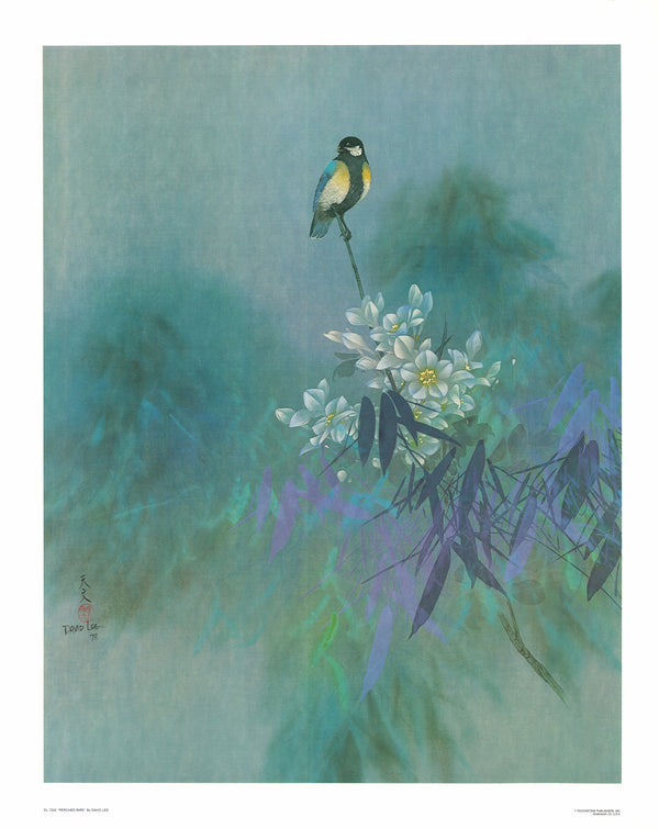 Perched Bird by David Lee - 26 X 32 Inches (Art Print)