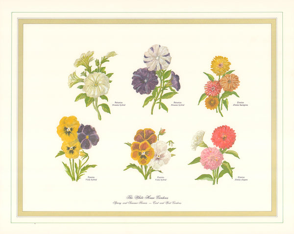 Spring and Summer Flowers - East Gardens by Harold Sterner - 16 X 20 Inches (Art Print)