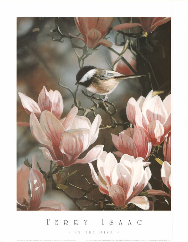In the Pink Black Capped Chickadee, 1991 by Terry Isaac - 20 X 25 Inches (Art Print)