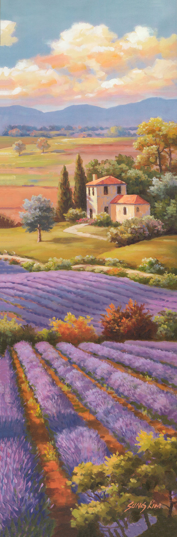 Field of Lavender I by Sung Kim - 12 X 36 Inches (Art Print)