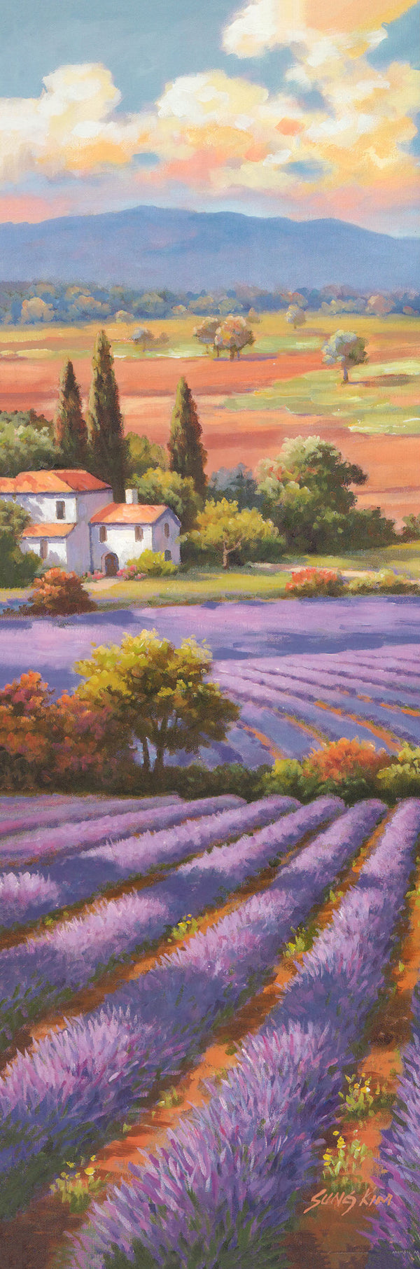 Field of Lavender II by Sung Kim - 12 X 36 Inches (Art Print)