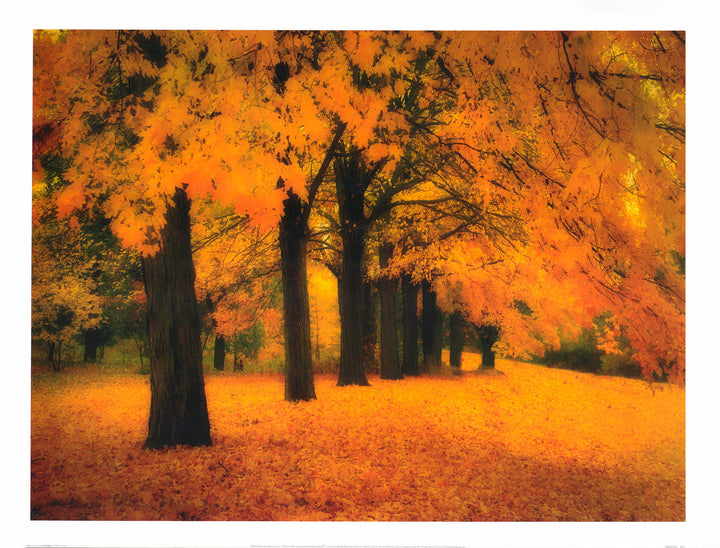 Gold of Autumn East by M. Ellen Cocose - 20 X 26 Inches (Art Print)