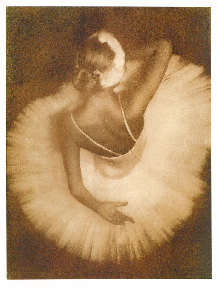 Pirouette by Joy Goldkind - 19 X 25 Inches (Art Print)