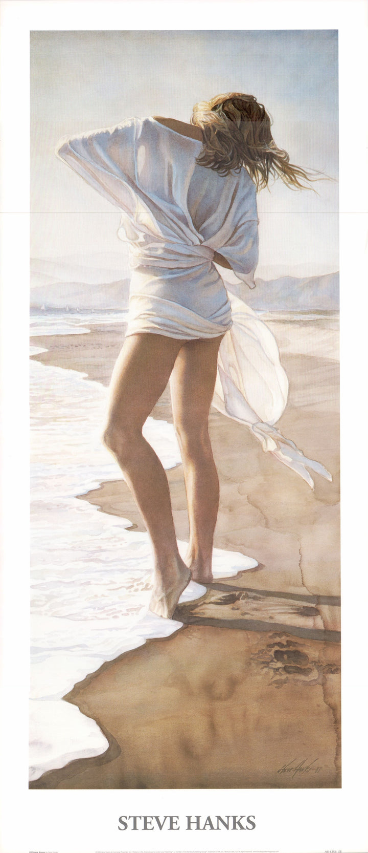 Offshore Breeze by Steve Hanks - 16 X 36 Inches (Art Print)