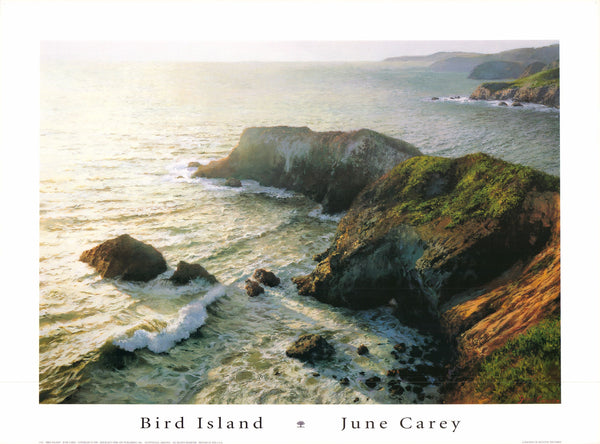 Bird Island, 1999 by June Carey - 22 X 30 Inches (Art Print)