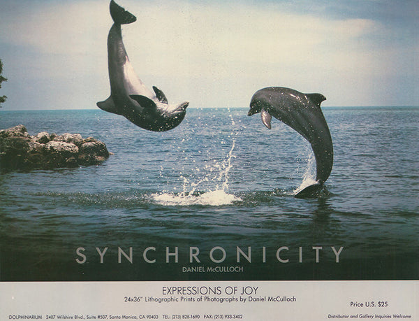 -synchronicity 202501- 抽象絵画 Synchronicity by Daniel McCulloch - 9 X 11