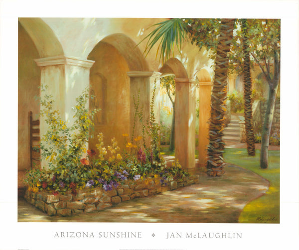 Arizona Sunshine by Jan McLaughlin - 27 X 32 Inches (Art Print)