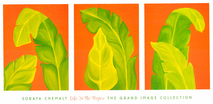Life In The Tropics by Soraya Chemaly - 20 X 40 Inches (Art Print)